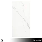 سرامیک 60×120 طرح اریکا طوسی براق – خاک سفید