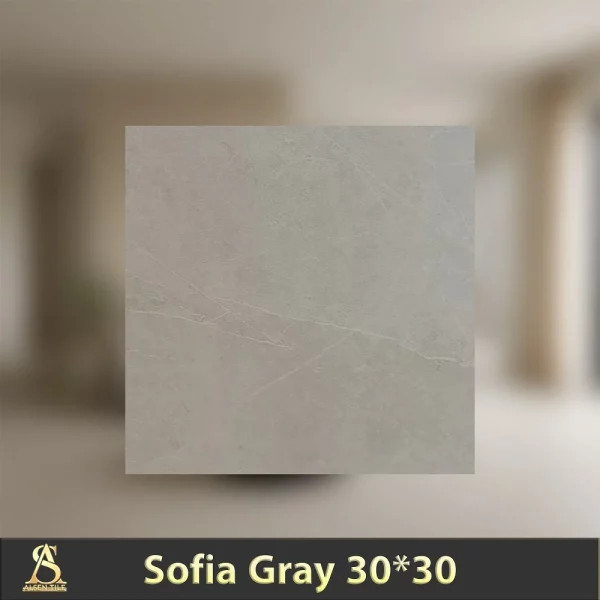 سرامیک مات 30*30 طرح صوفیا طوسی | کاشی آلسن