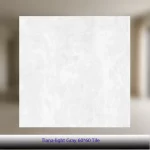 سرامیک ۶۰×۶۰ طرح تیانا طوسی روشن – کاشی آلسن