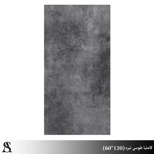 سرامیک 60×120 طرح کامیلا طوسی – پرسلان پولیش