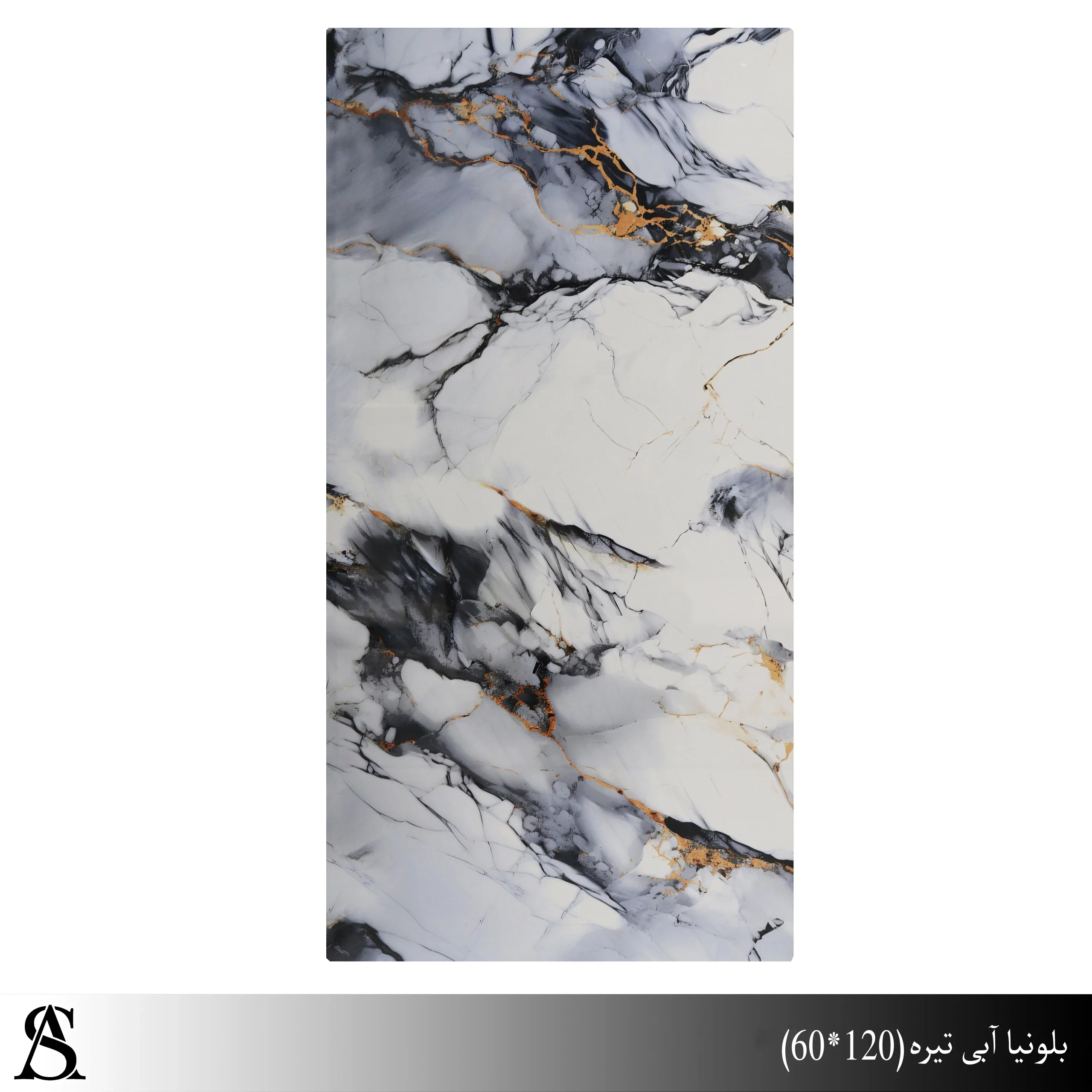 بلونیا سرامیک پولیش 60*120 طرح بلونیا |کاشی آلسن - تصویر 1