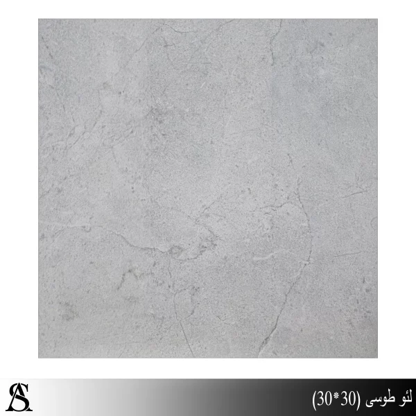 سرامیک 30*30 طرح لئو طوسی مات