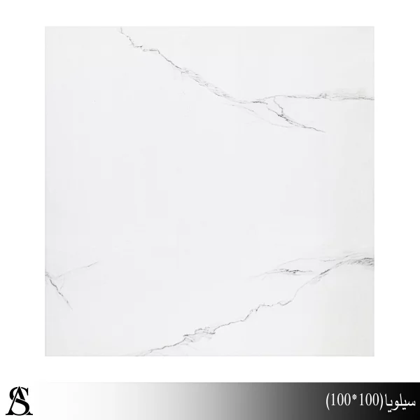سرامیک 100*100 طرح سیلویا پولیش